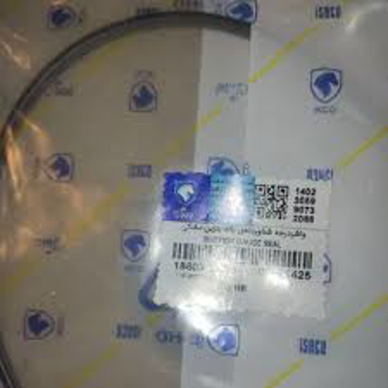 تصویر از اورینگ شناور 206